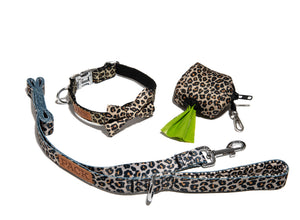 Cheetah Leash + Bowtie Collar