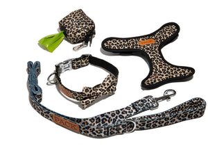 Cheetah Leash + Bowtie Collar + Reversible Harness