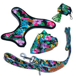 Rainforest Harness Collection