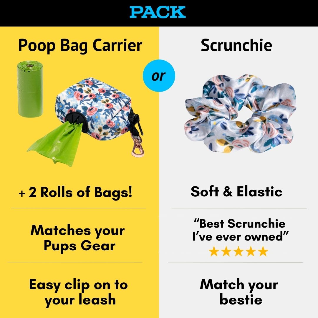 Matching: Bowtie Collar + Leash + Rope Toy + Poop Bag Carrier - Pack ...