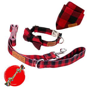 Ambassador Set