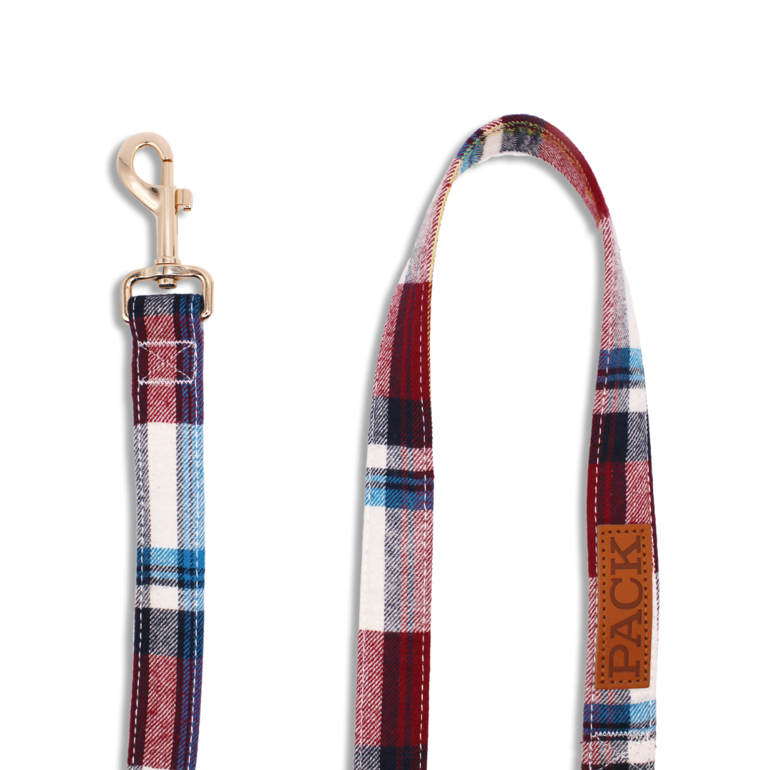 Winston Matching Leash + Rope Toy - Free