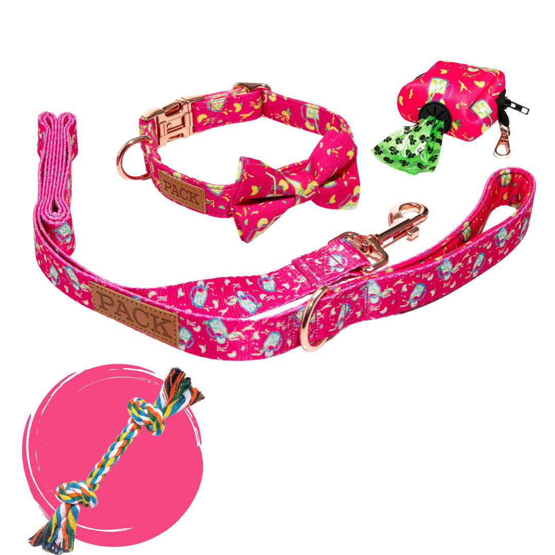 Matching Bowtie Collar + Leash + Rope Toy + Poop Bag Carrier Pack
