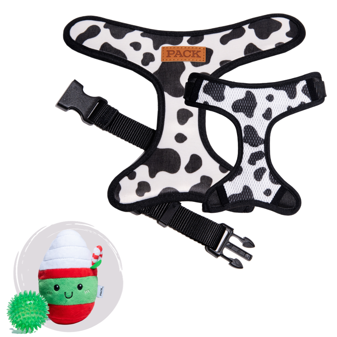 Milky Way // Milky Way + Minty Mocha - Free Product