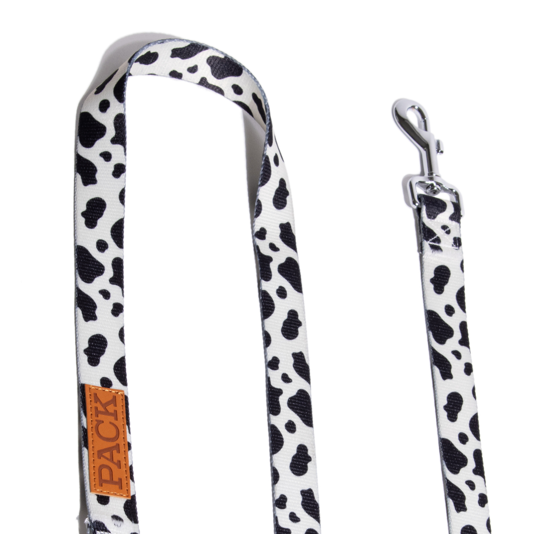 Milky Way Matching Leash + Minty Mocha - Free