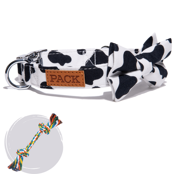 Collar Model + Free Rope Toy Collection - Pack Leashes