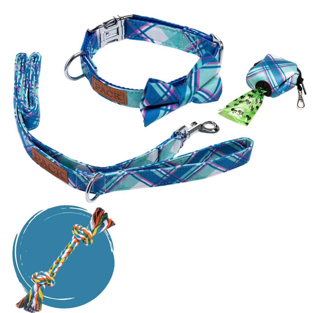 Matching Bowtie Collar + Leash + Rope Toy + Poop Bag Carrier Pack