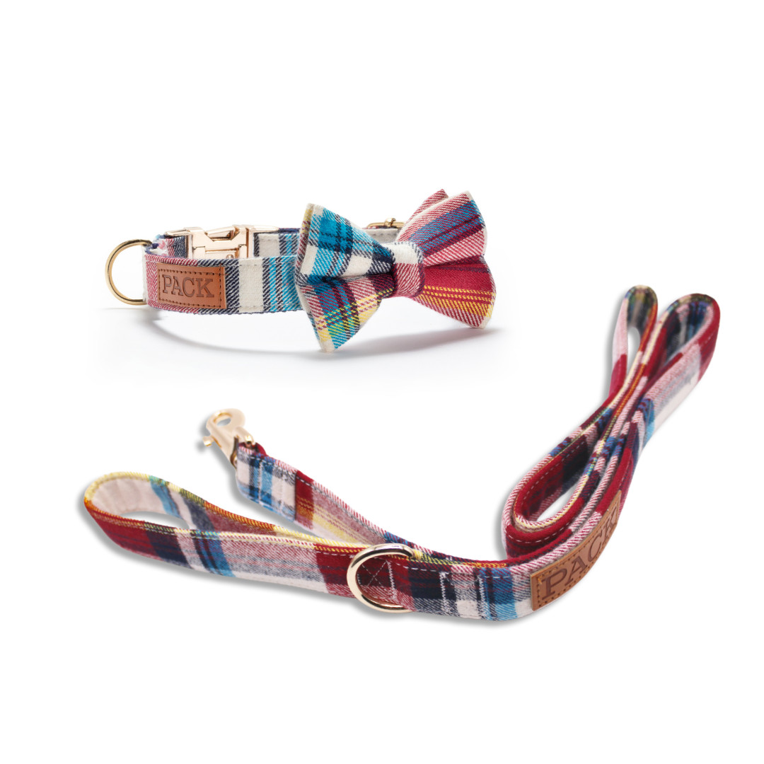Winston Leash + Bowtie Collar