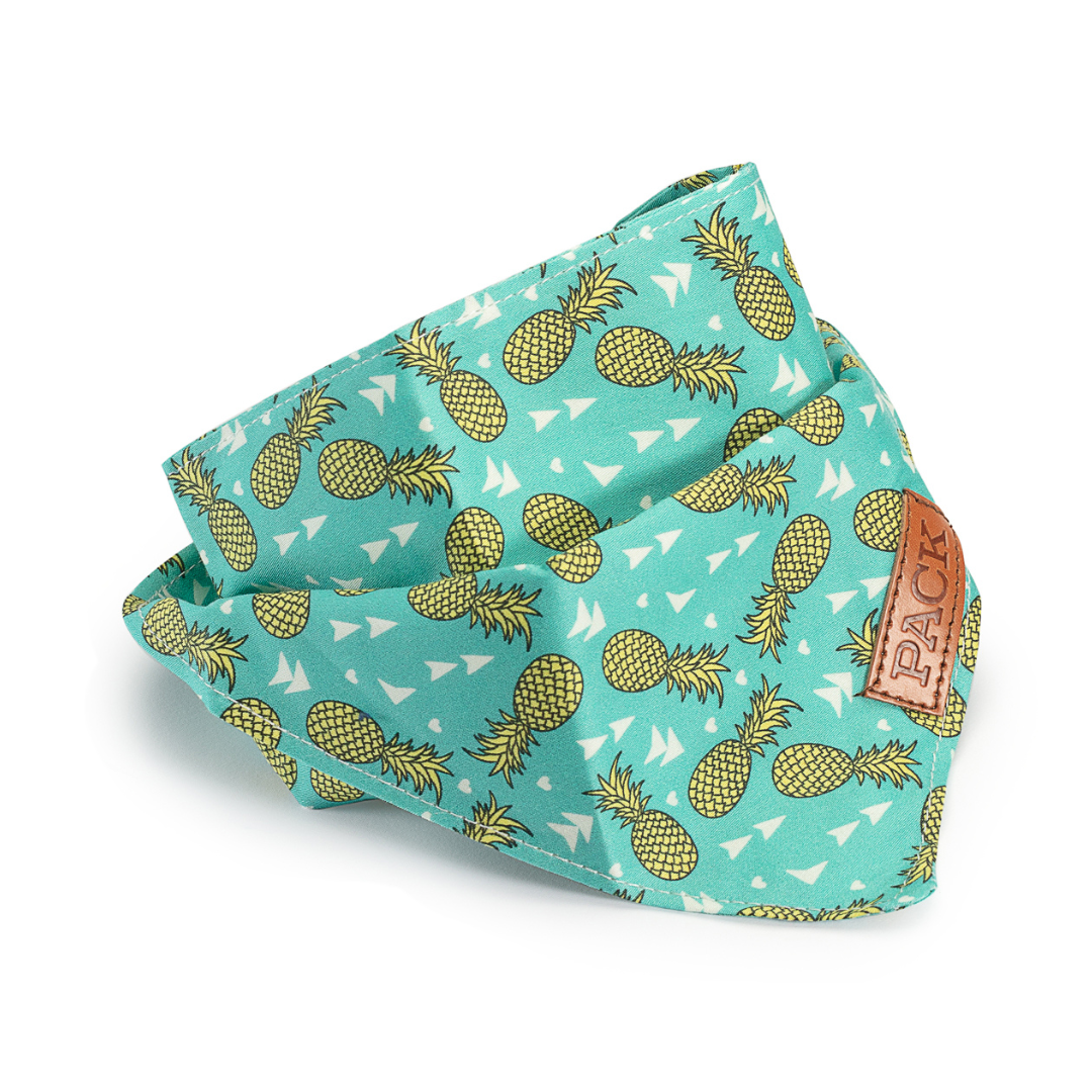 Pineapple Bandana