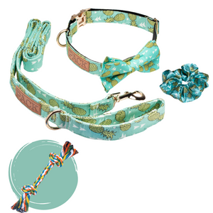Matching: Bowtie Collar + Leash + Rope Toy + Scrunchie