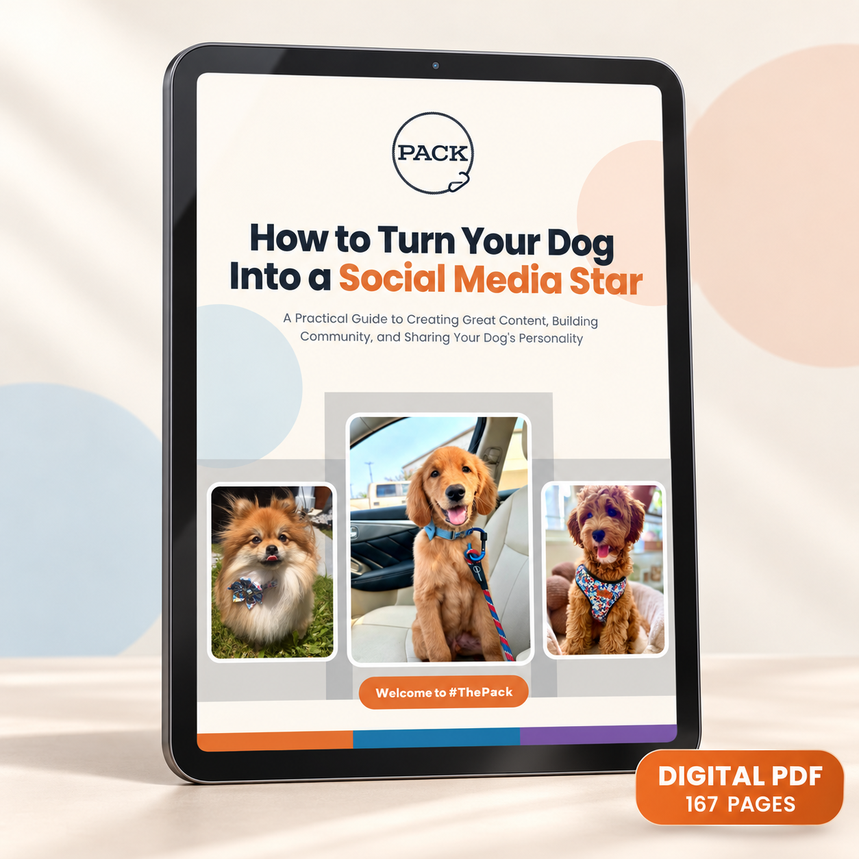 How to Turn Your Dog Into a Social Media Star – The Pack Leashes Handbook