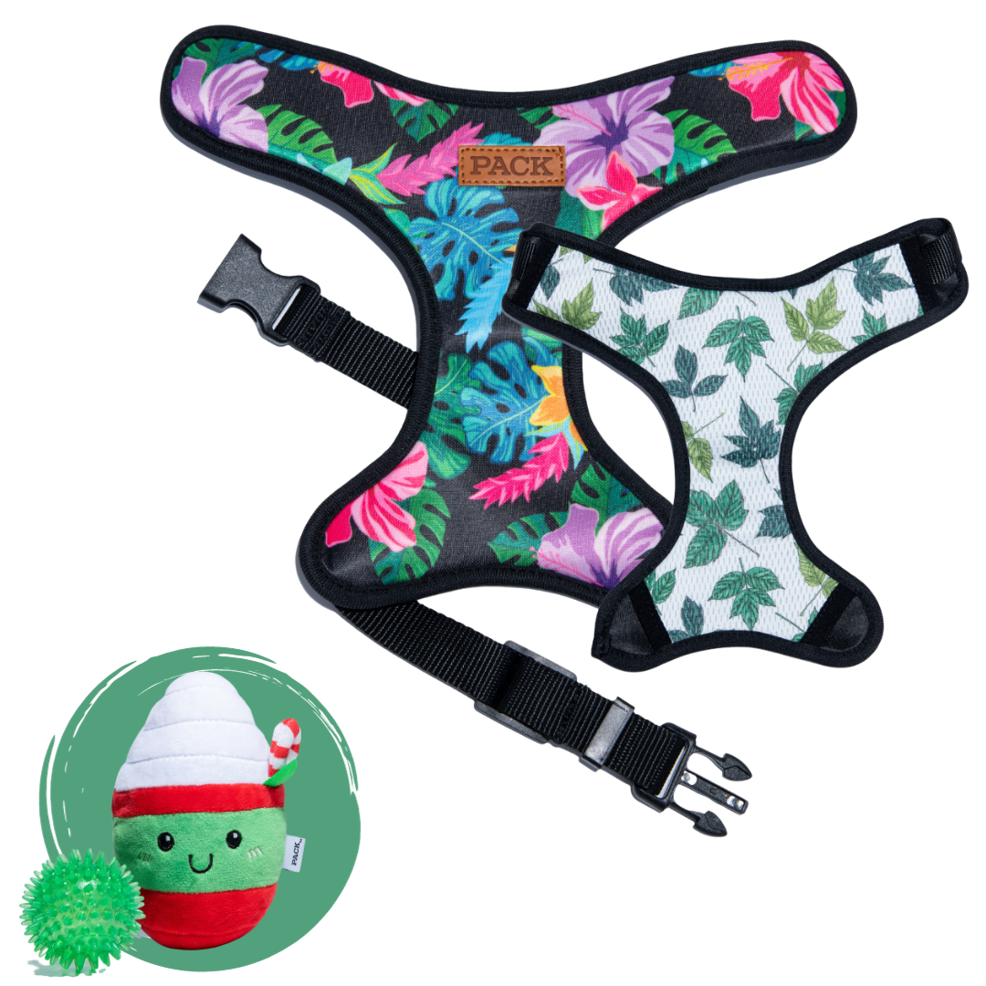 Rainforest // Flora + Minty Mocha - Free Product