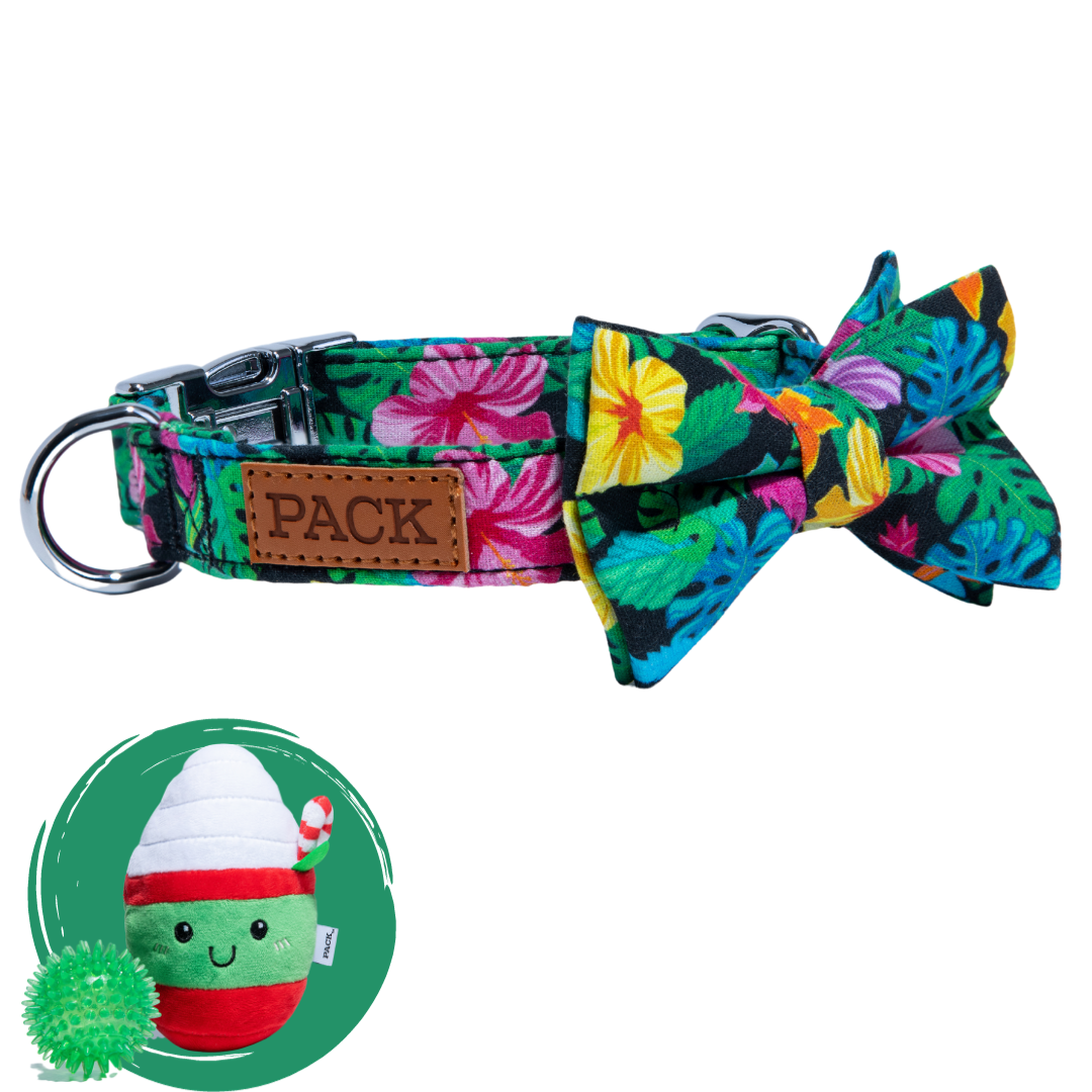 Rainforest + Minty Mocha - Free Product