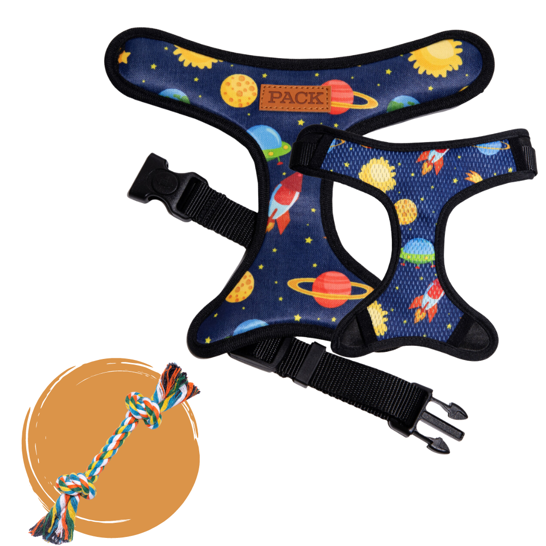 Space Jam // + Free Toy - Free Product