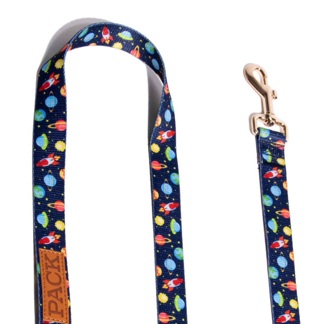 Space Jam Matching Leash + Rope Toy - Free