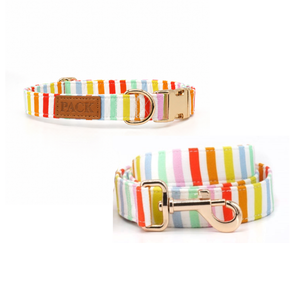 Summer Stroll Leash + Bowtie Collar