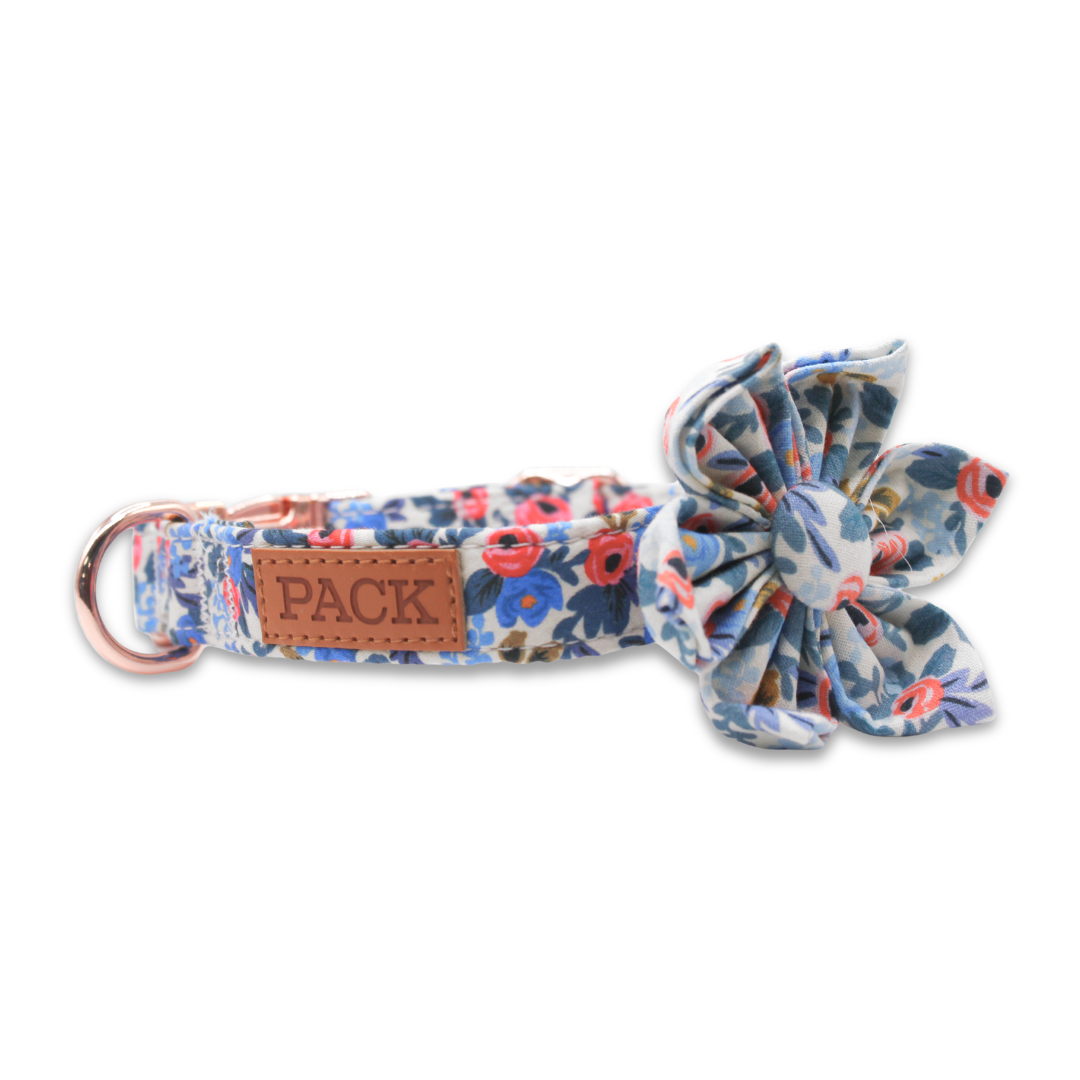 Spring 2026 - Pack Leashes