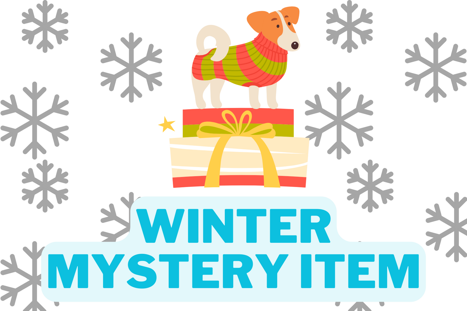 Winter Mystery Item