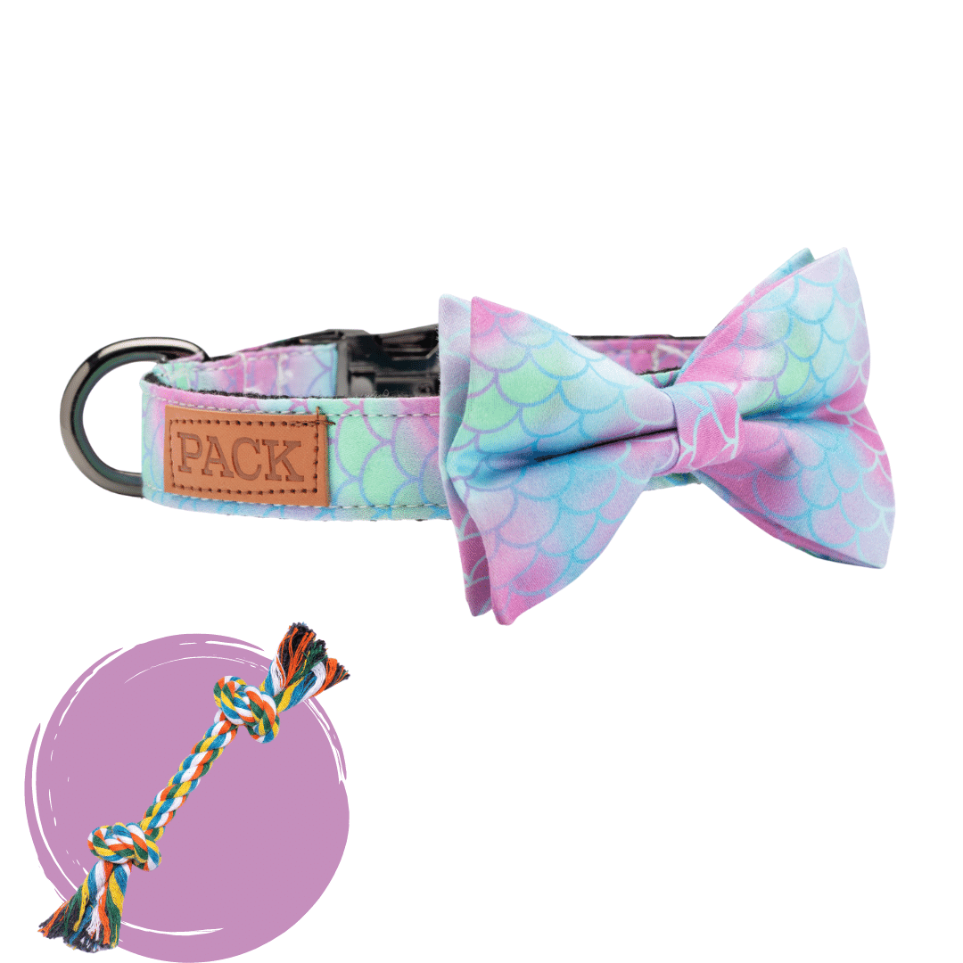 Ariel + Rope Toy - Free Product