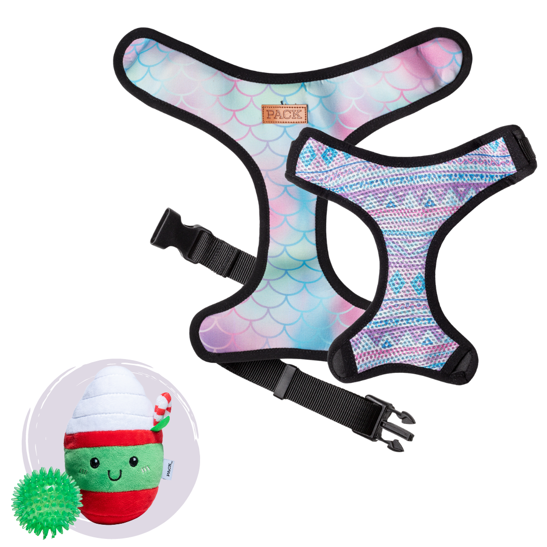 Ariel // Mika + Minty Mocha - Free Product