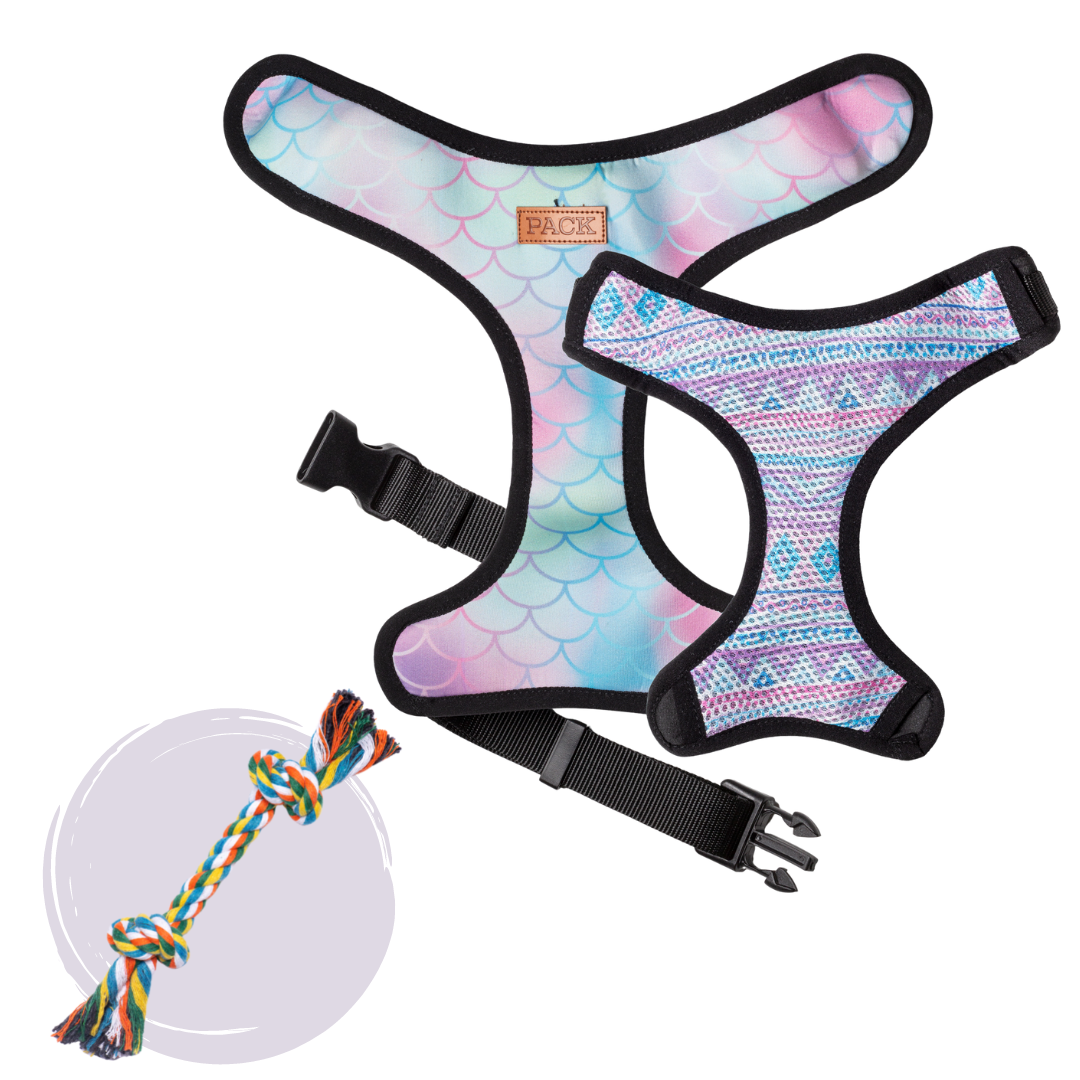 Ariel // Mika + Free Toy - Free Product