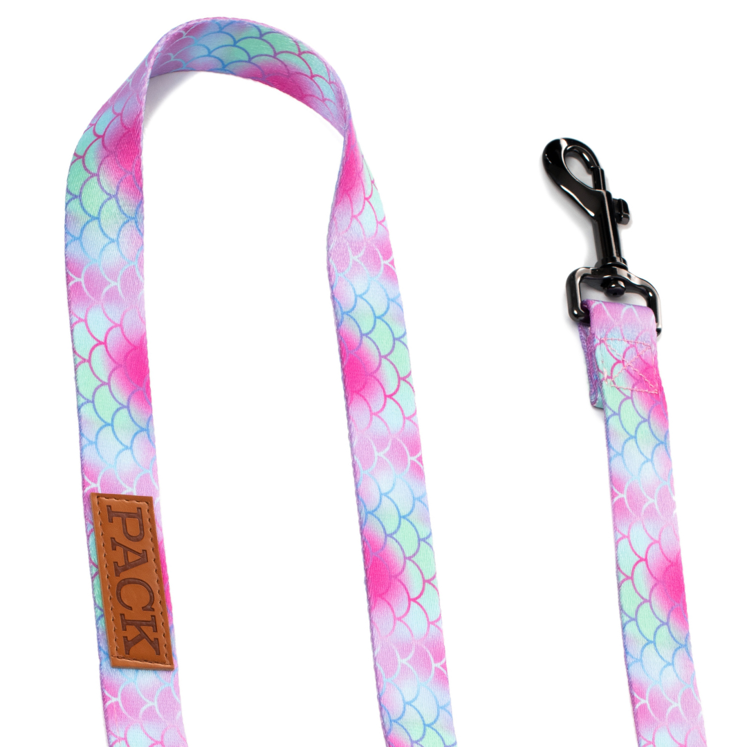Ariel Matching Leash + Rope Toy - Free