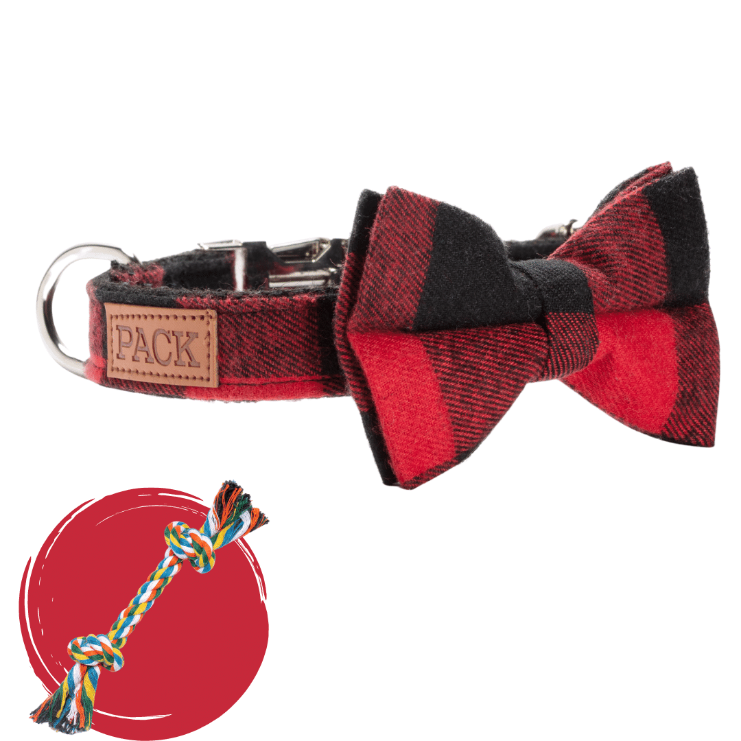 The Beauregard + Rope Toy - Free Product