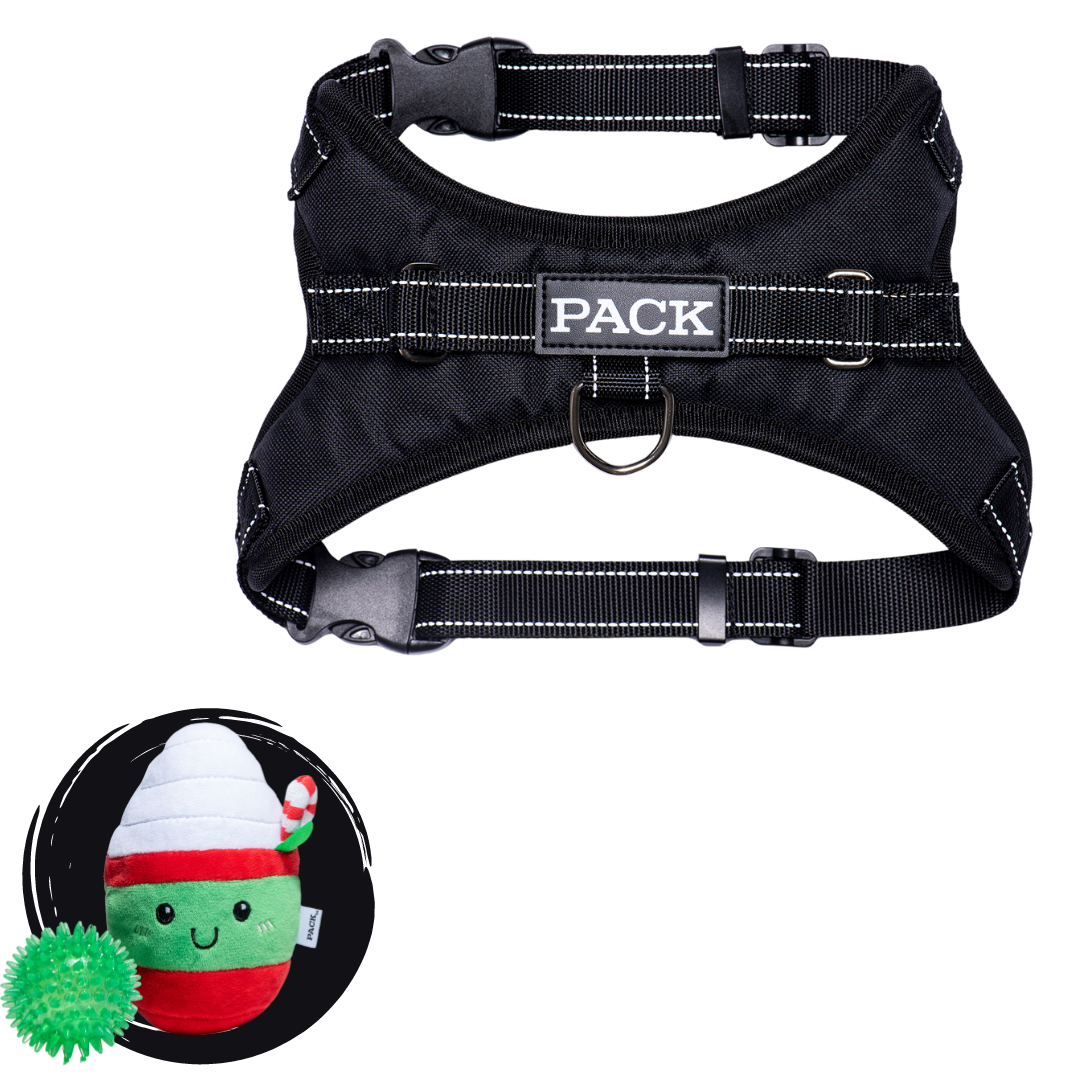 Midnight Black + Minty Mocha - Free Product