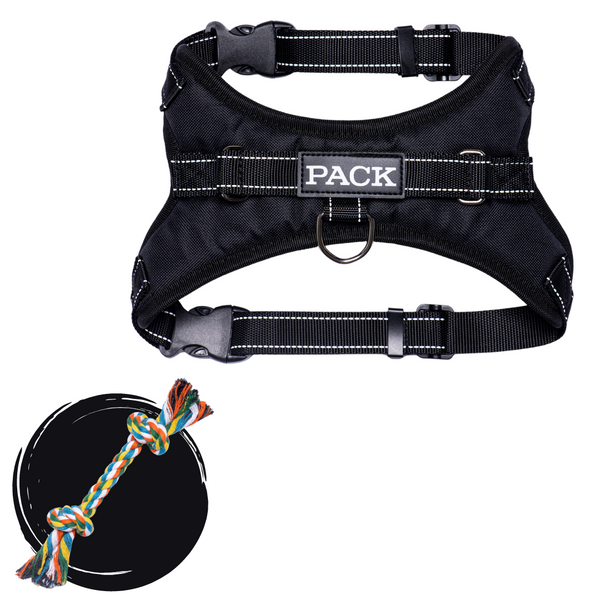 Midnight Black + Rope Toy - Free Product - Pack Leashes