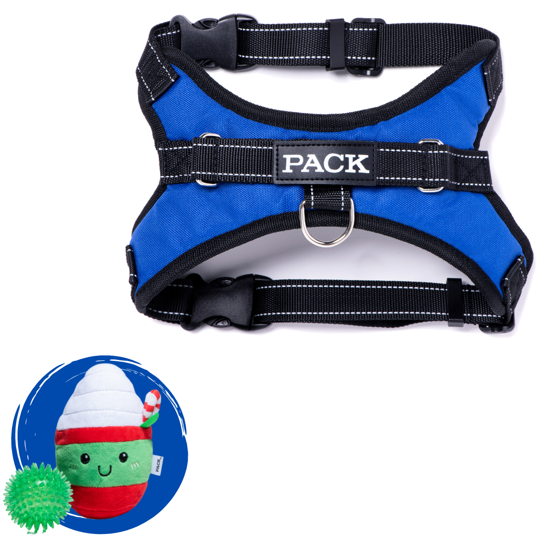 Bold Blue + Minty Mocha - Free Product