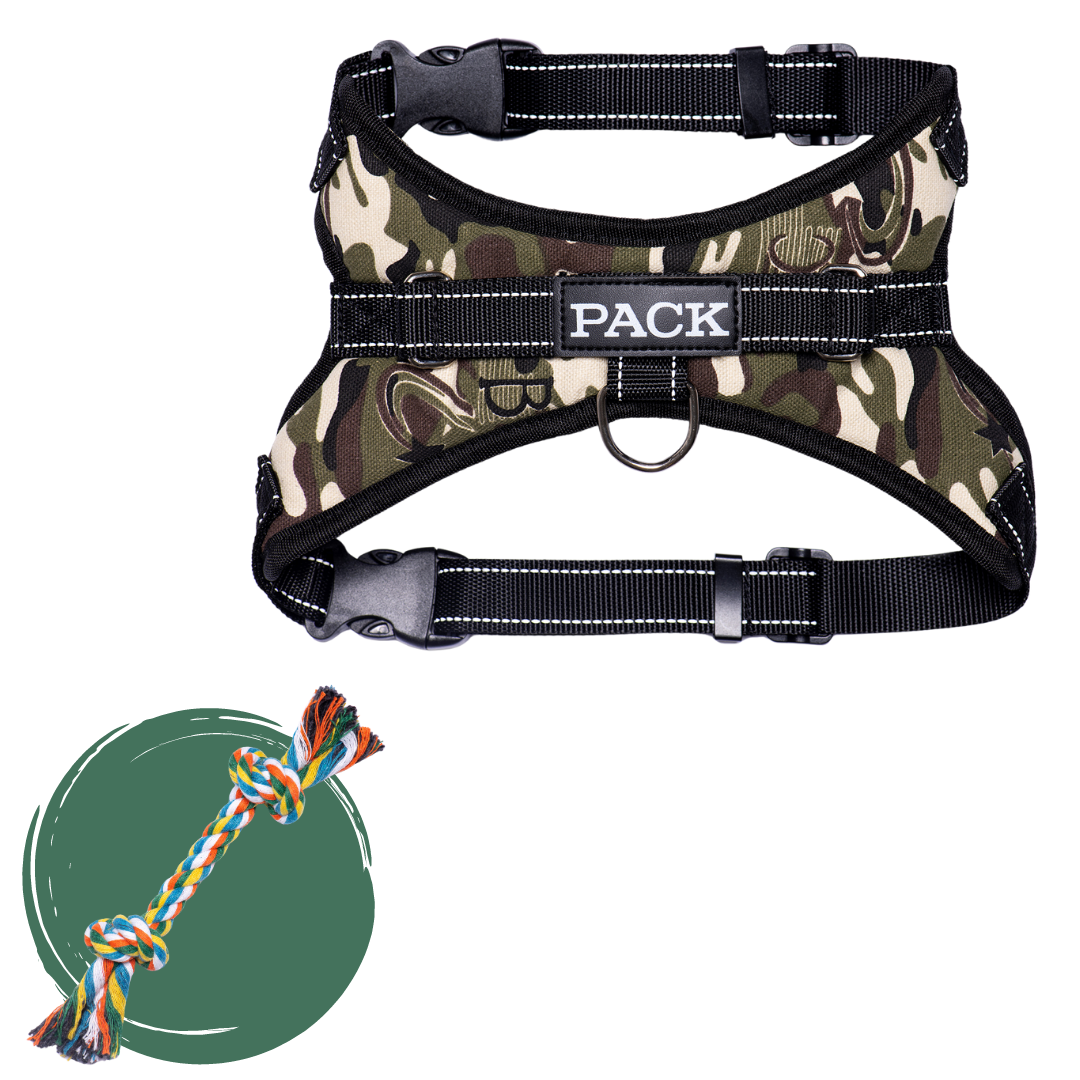 Hide-N-Seek Camo + Rope Toy - Free Product
