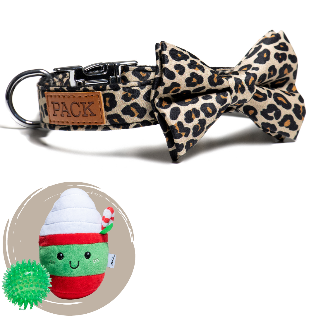 Cheetah + Minty Mocha - Free Product