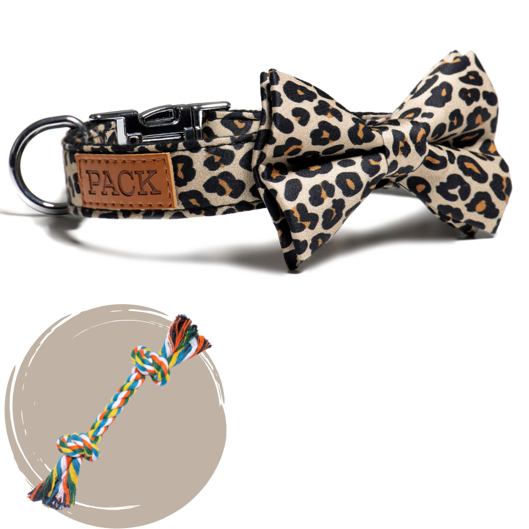 Cheetah + Rope Toy - Free Product