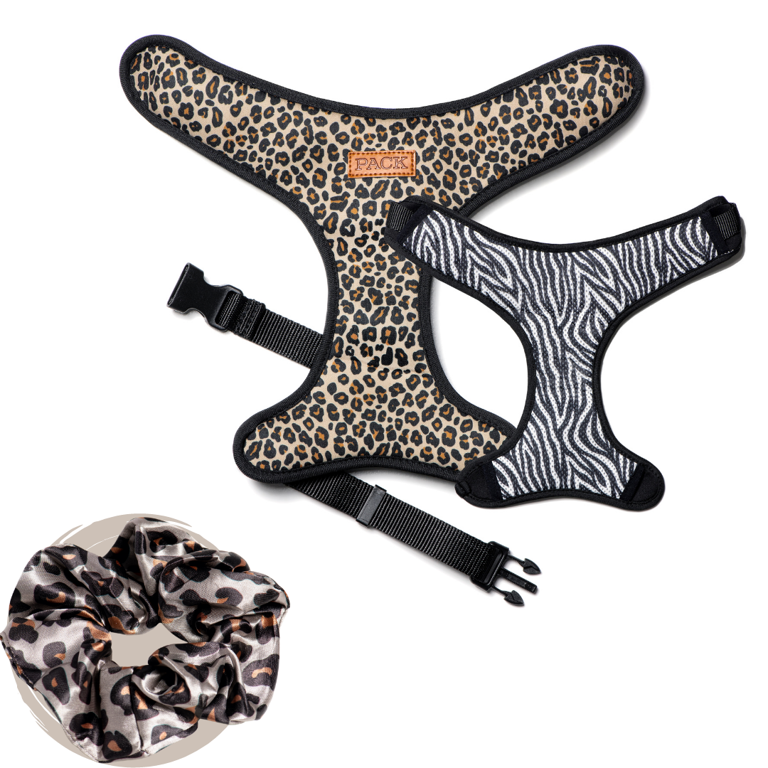 Cheetah Satin Scrunchie + Reversible Harness