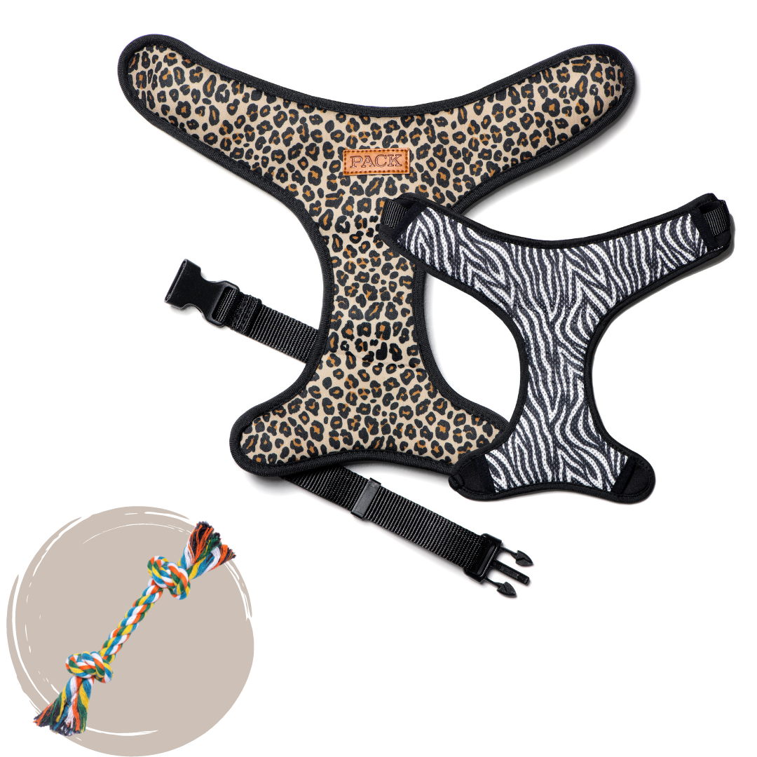 Cheetah // Zebra + Rope Toy - Free Product