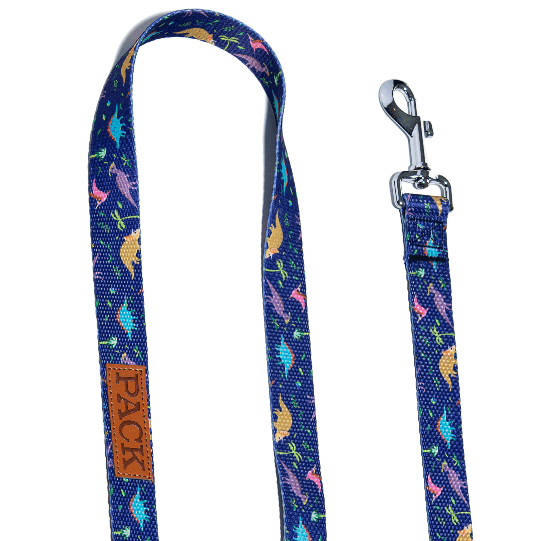 Dino Matching Leash + Rope Toy - Free