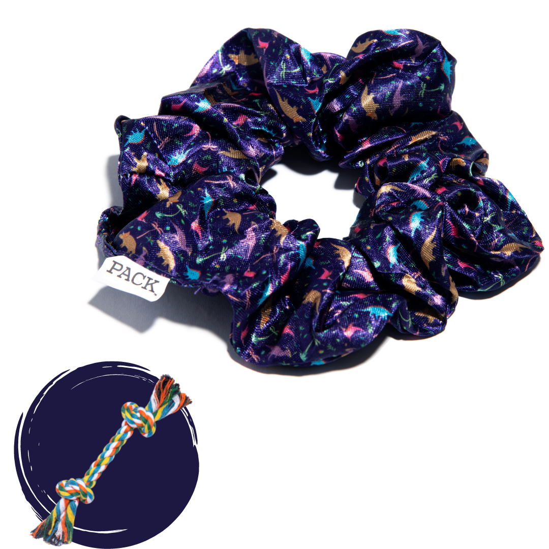 Dinos Satin Scrunchie + Rope Toy - Free Product