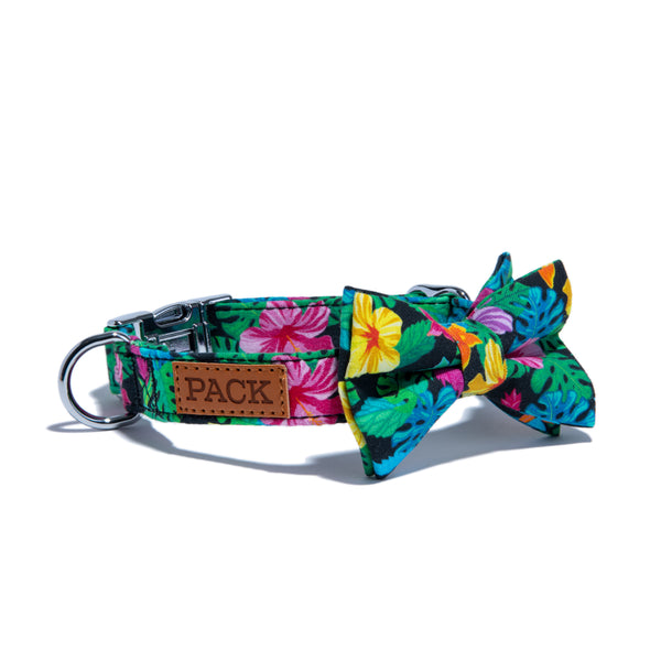 Collars + Harnesses - Pack Leashes