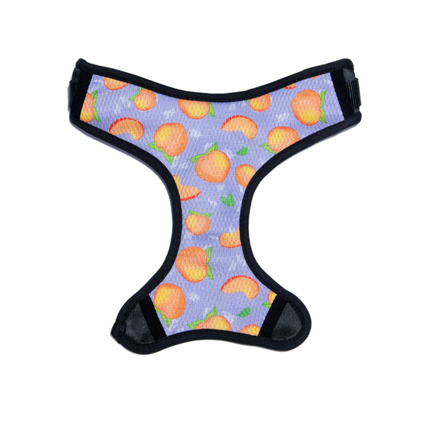 Peaches Reversible Dog Harness Pack Leashes