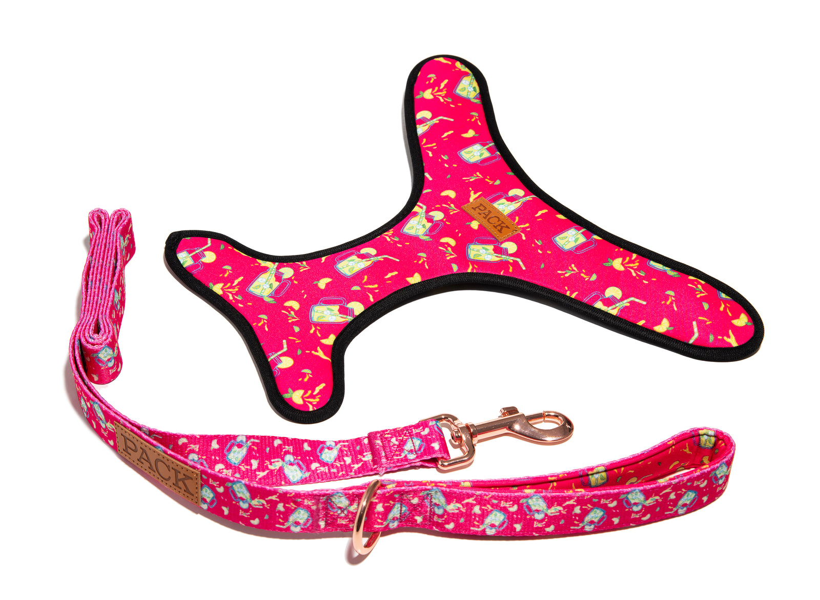 Lemonade Leash + Reversible Harness