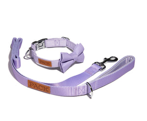 Lavender Leash + Bowtie Collar