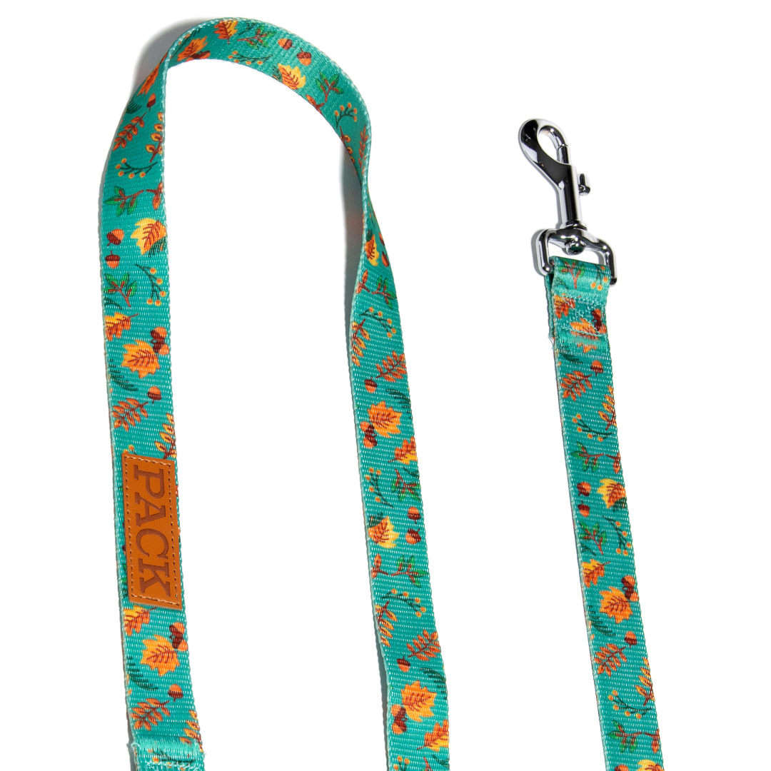 Forest Maple Matching Leash + Minty Mocha - Free