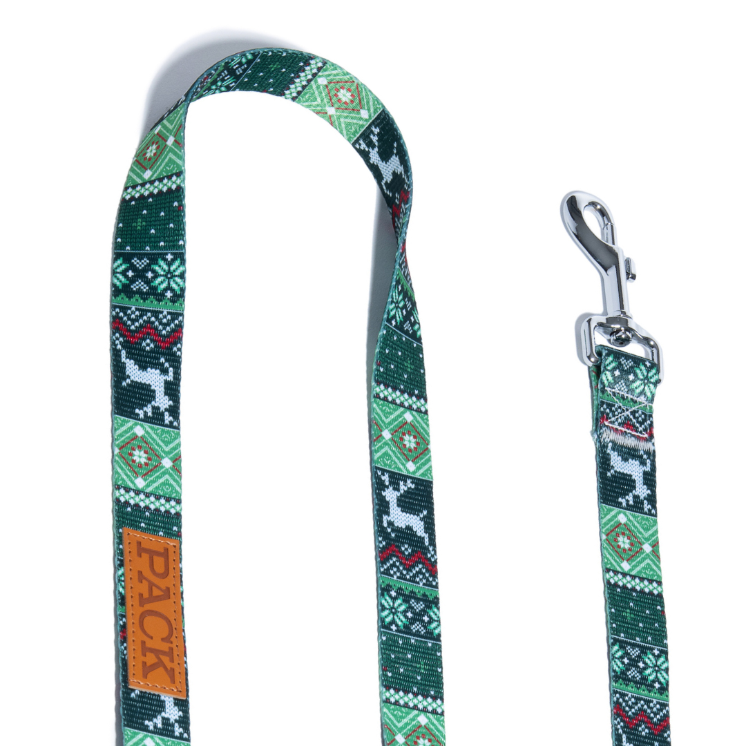 Green Sweater Matching Leash - Free