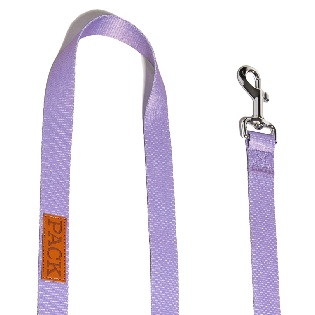 Lavender Matching Leash + Rope Toy - Free