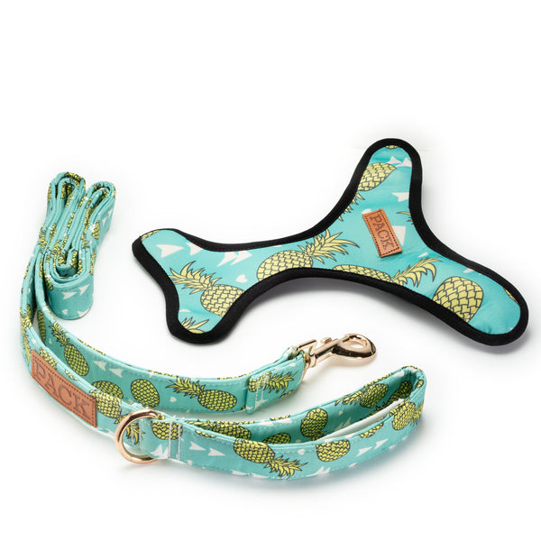 Pineapple Leash + Reversible Harness - Pack Leashes