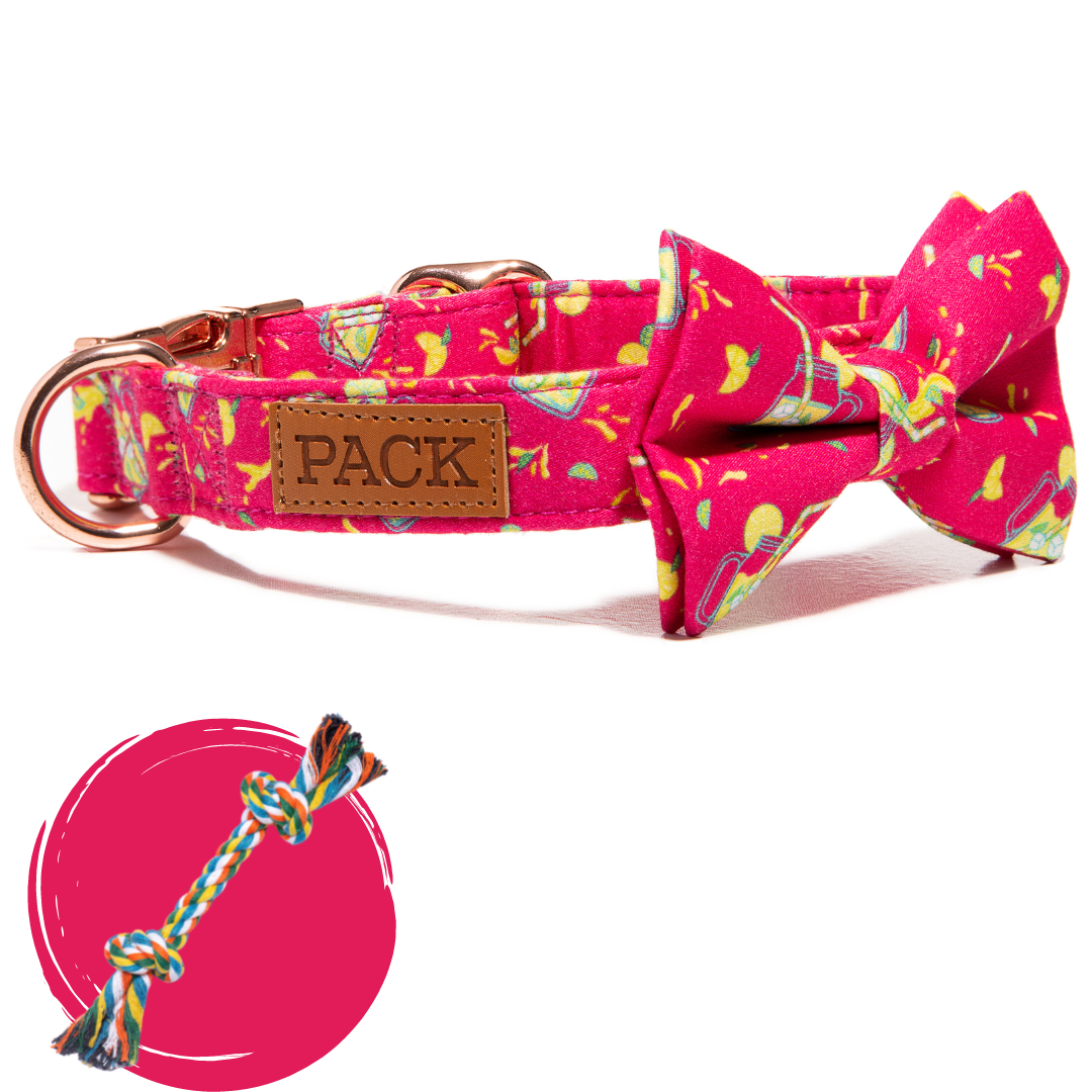 Lemonade + Rope Toy - Free Product