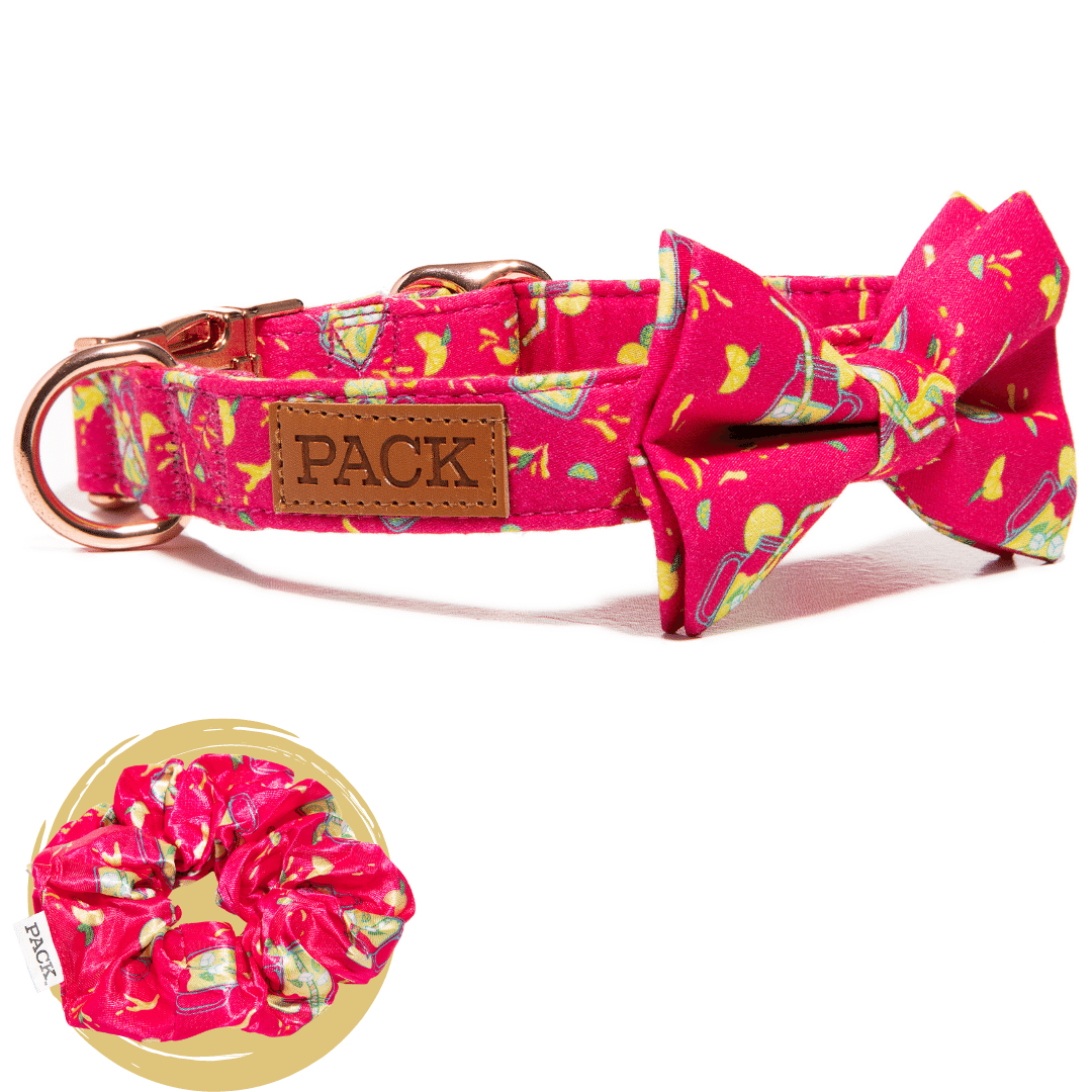 Lemonade Satin Scrunchie + Bowtie Collar