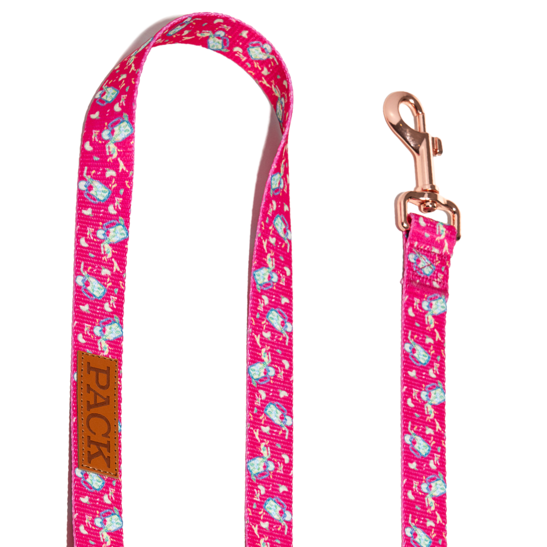 Lemonade Matching Leash - Free