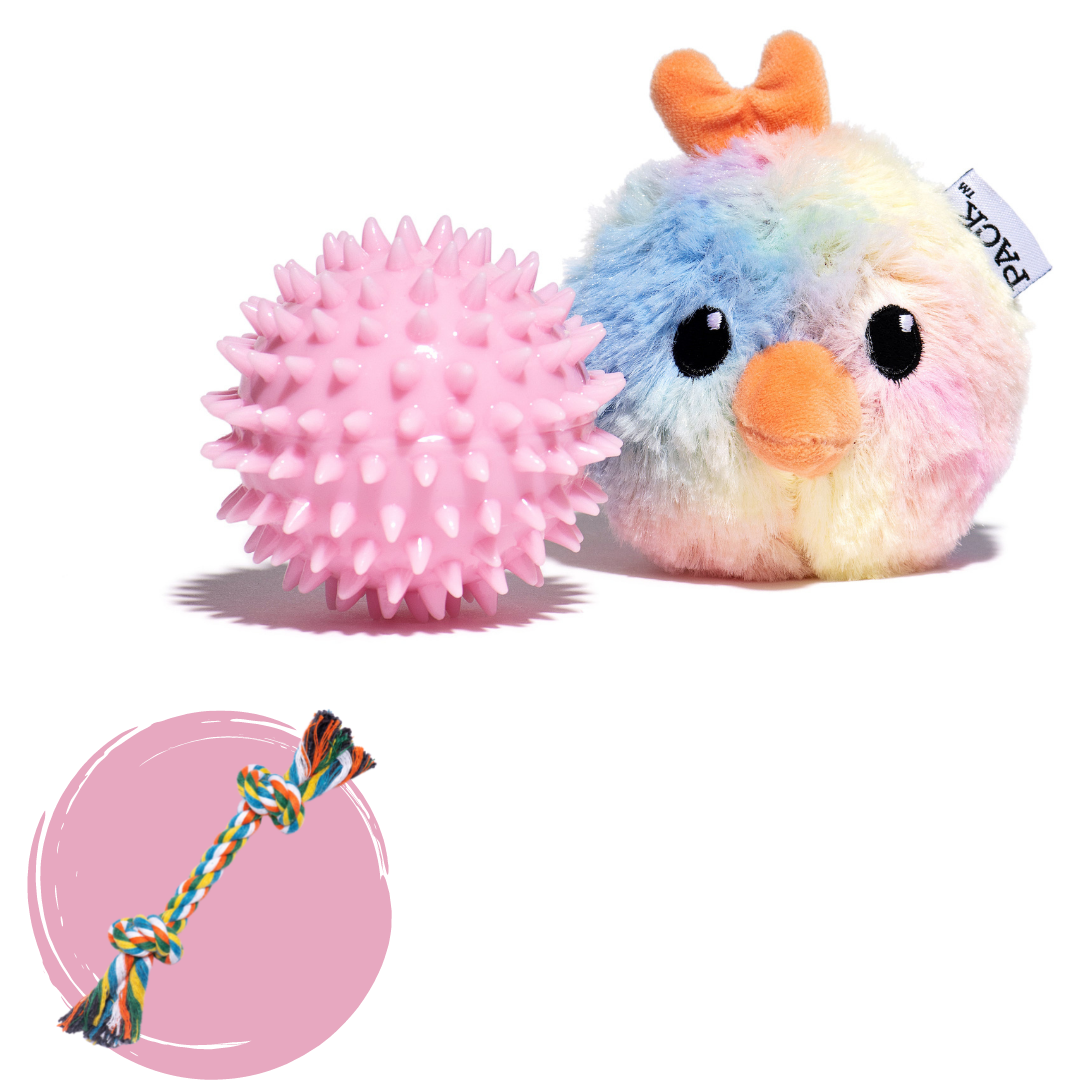 Mrs. Feathers (2-in-1 Toy) + Rope Toy - Free Product