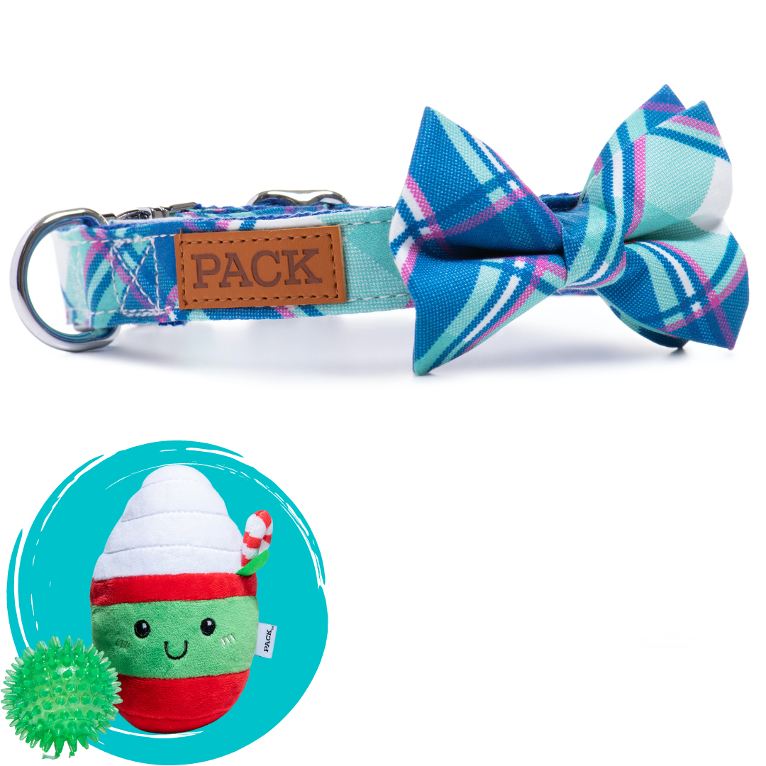 The Nantucket + Minty Mocha - Free Product